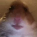 voidspaxy