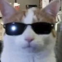 rosemillie