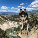 avatar Galaxy_Donutpower