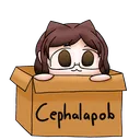 craftyshanny