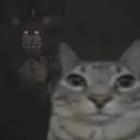 mtwox