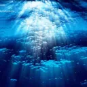 water_xurquis