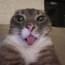 avatar J͓̽e͍͆r͕̈́e͉̾m̞̿y̠͑ P̠͆a̤͑s̗̚c͂al