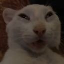 avatar J͓̽e͍͆r͕̈́e͉̾m̞̿y̠͑ P̠͆a̤͑s̗̚c͂al