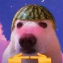 minibogh