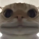 avatar !  ⋆˚うさぎ☆