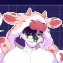 luna_the_fox05