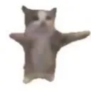 froggie5633