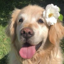 callsign_beans766's Avatar