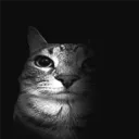 joun_27