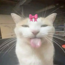 avatar Luh meow 67