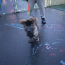 diesel_og member profile picture