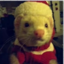 avatar !omk sus bozo