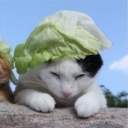 avatar !omk sus bozo