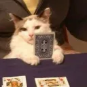 sirreaz