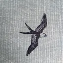 kevinkripper