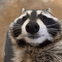 captin_betus's Avatar