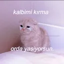 animekizielif.