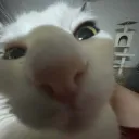 sami.rsfw