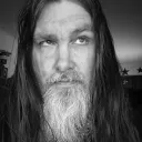 wdwillis