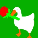 cute.ducky