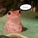 theduckisafrog