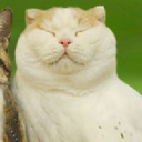 avatar jose avendano