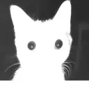 error1151 avatar