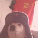 republicofthepeople