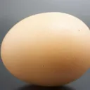 eggspogg