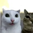 fin0h