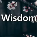 wisdom.entertainment