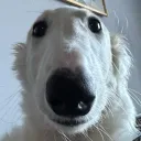 streten avatar