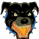 rottweiler1616