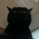 just_dark_ avatar