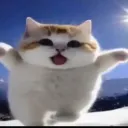 sa_vart