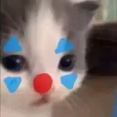 imz6