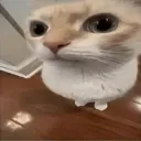 randomizing_username