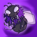 Xoidbee member profile picture