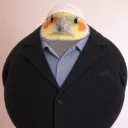 ospik_43