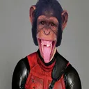 testtest06781