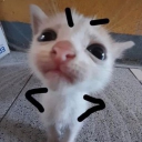 tu_babagorl