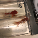 avatar mouseoutfitword