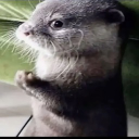 [NA] Nap (DO NOT PING)