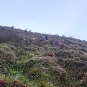 mattymcderrinth avatar