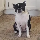 srsstone