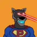 coolpanthersclub
