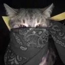 nosoyjxker avatar