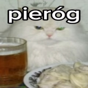 user_pgc4ill4plb9nv7h member profile picture