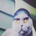 pogreb_p